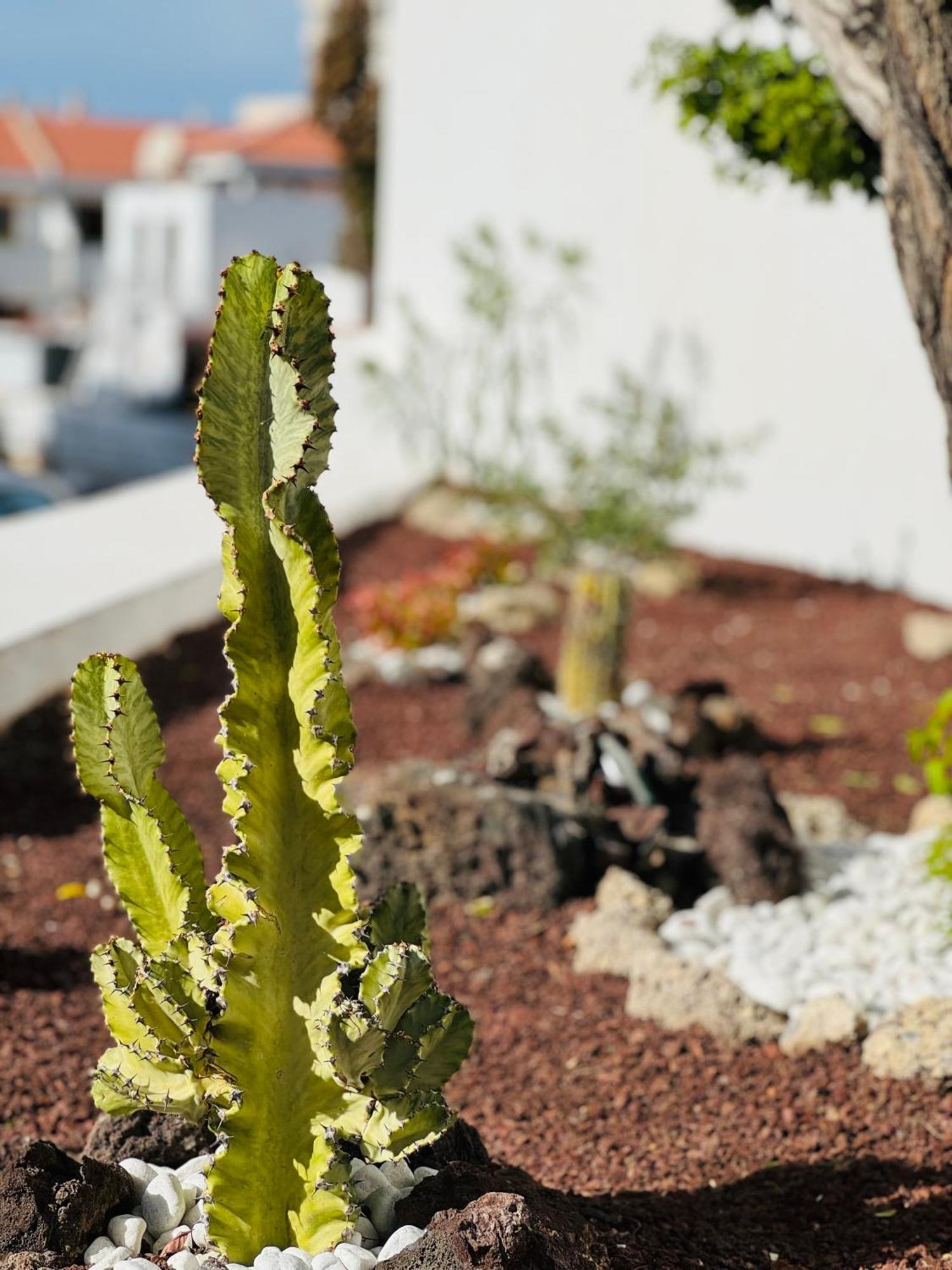 Garden City Private Apartment Costa Adeje Playa Feñabe Bagian luar foto