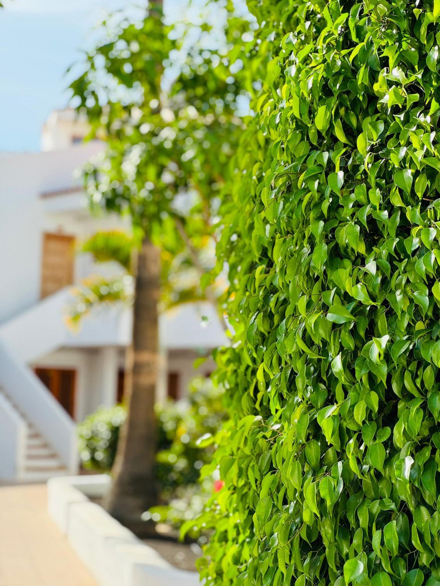 Garden City Private Apartment Costa Adeje Playa Feñabe Bagian luar foto